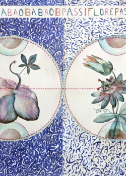 Hémisphère I stylo, aquarelle et papier transfert, 50 x 70 cm, 2023 © Floriane Musseau